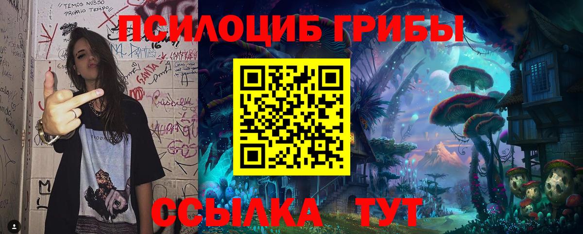 Галлюциногенные грибы Psilocybine cubensis  Вход с VPN  где найти наркотики  Сосновоборск 