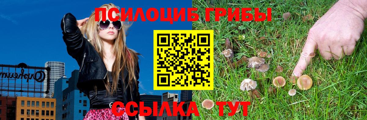Псилоцибиновые грибы мицелий Сосновоборск